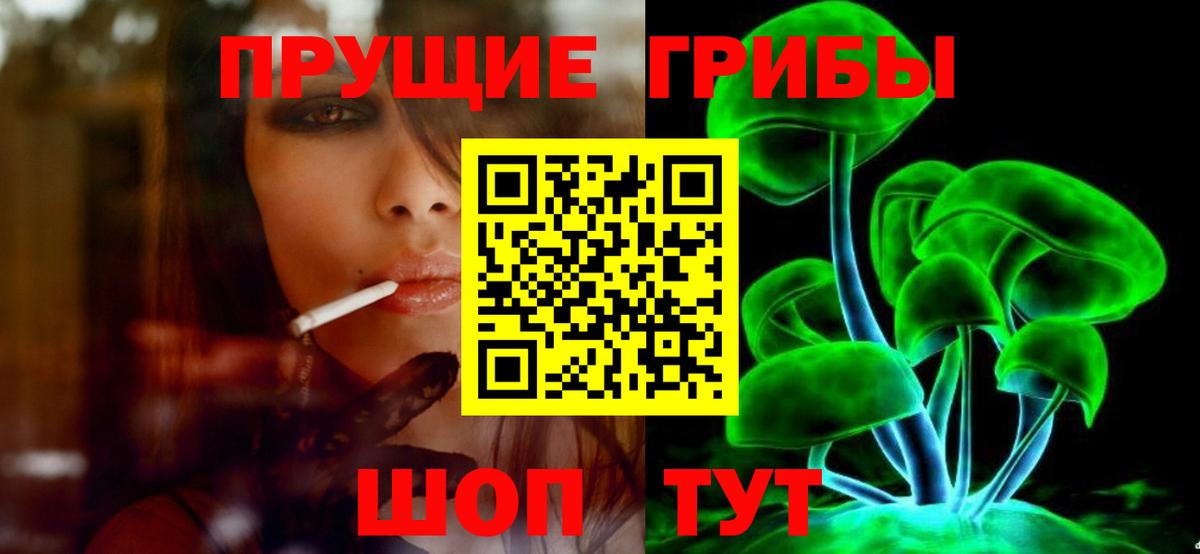 Псилоцибиновые грибы Magic Shrooms  Вход с VPN  Самара  Галлюциногенные грибы Psilocybine cubensis 